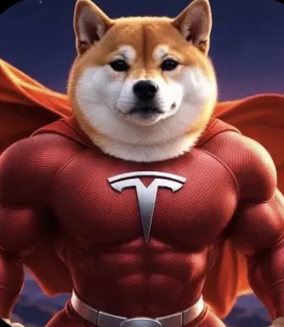 Shiba Tesla logo