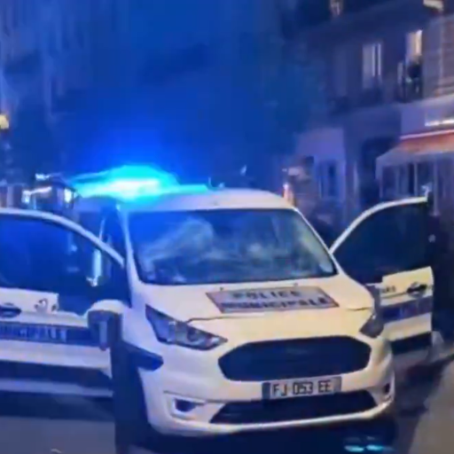 French Molested Police Car logo