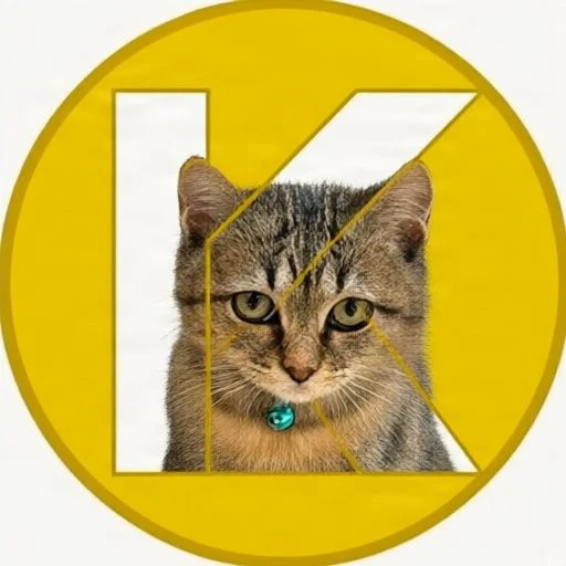 Kibicoin logo