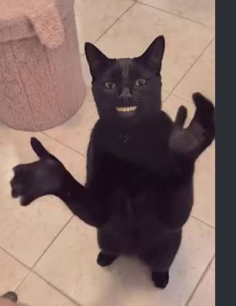 catclap logo