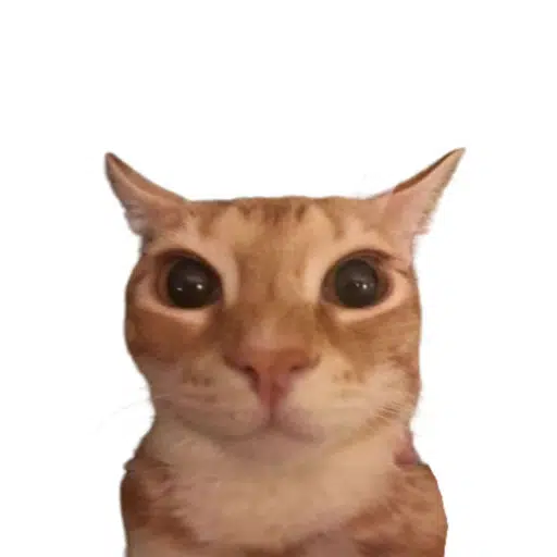 neko logo