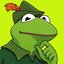 Robin the Frog logo