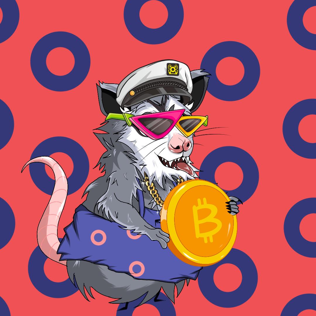 POSSUM logo