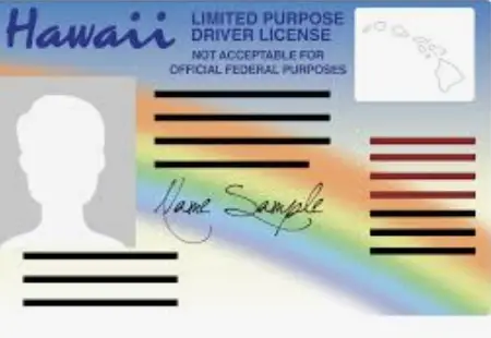 Permits logo