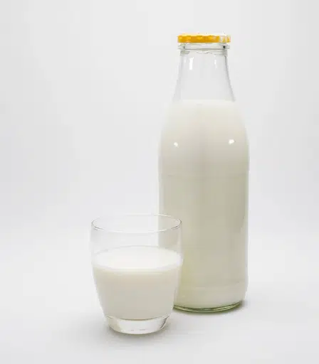 milk logo