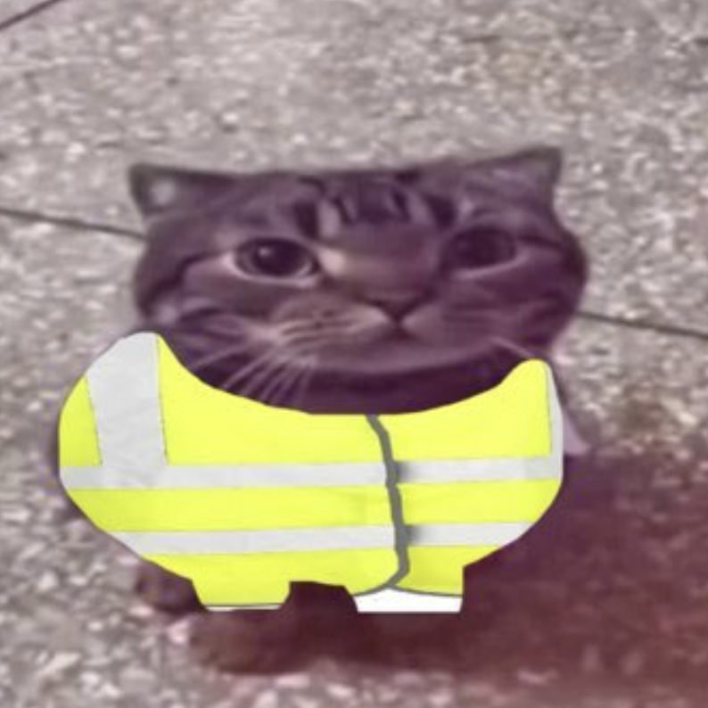 Cat in vest logo