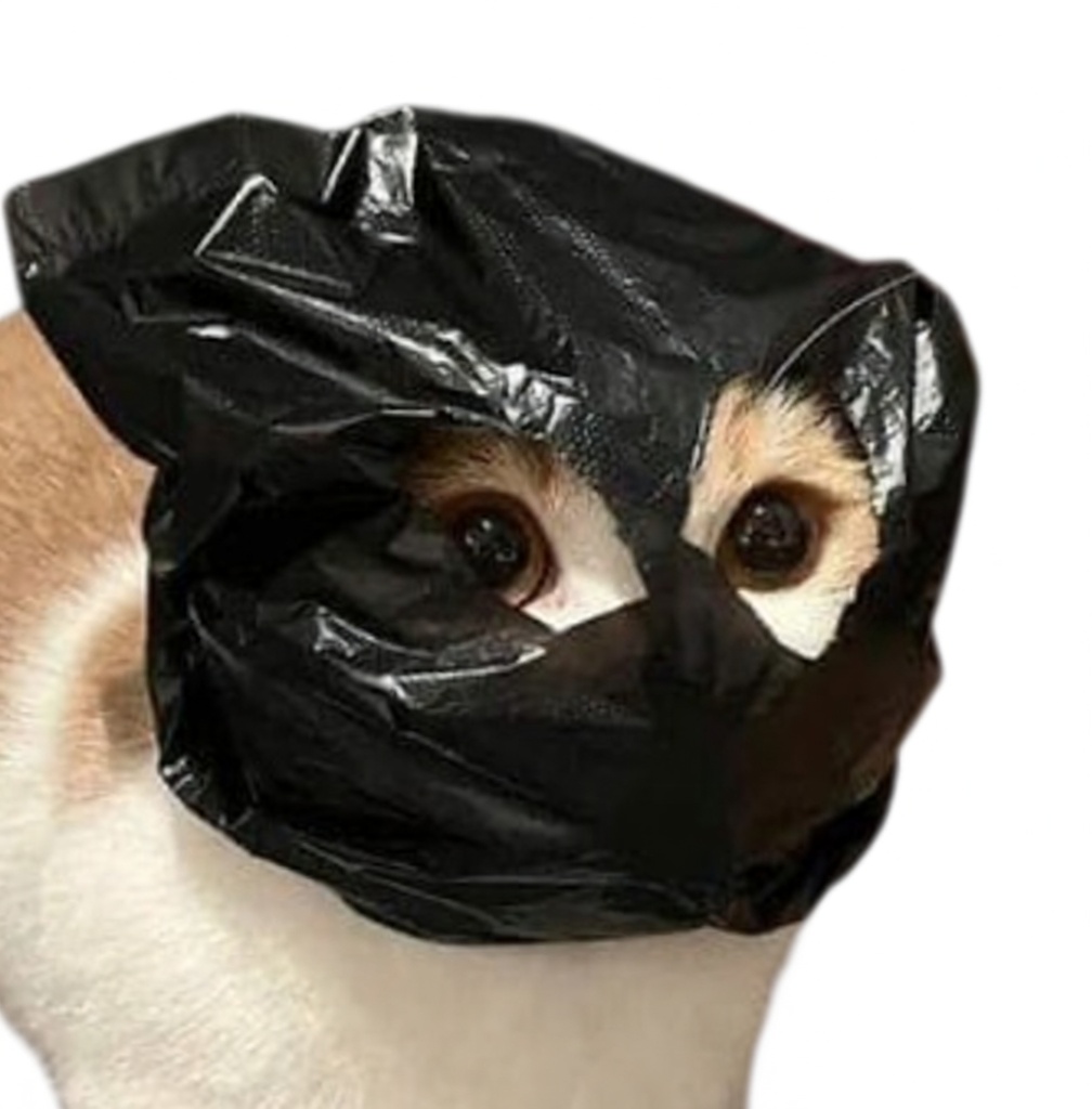 anon logo