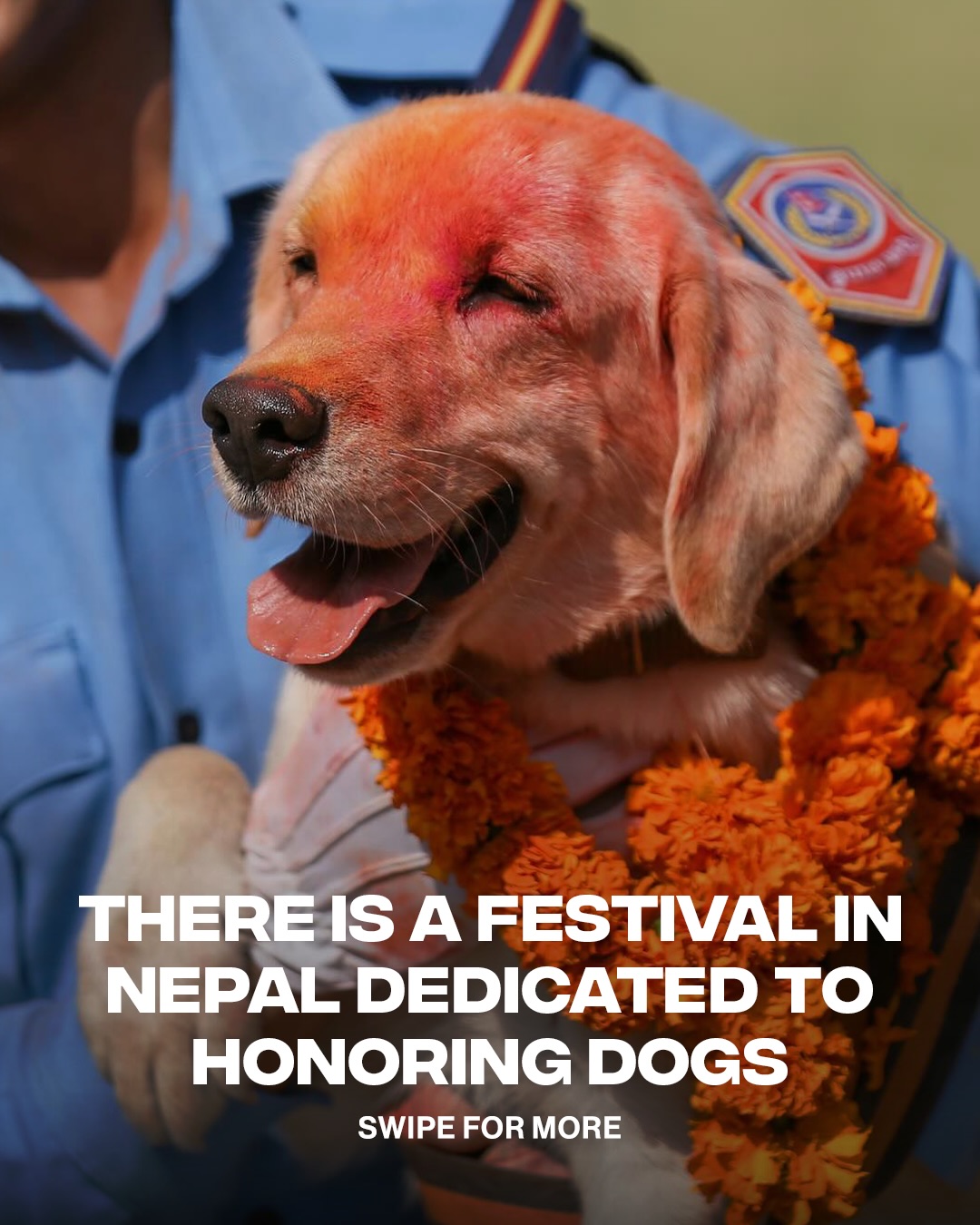 Kukur Tihar logo