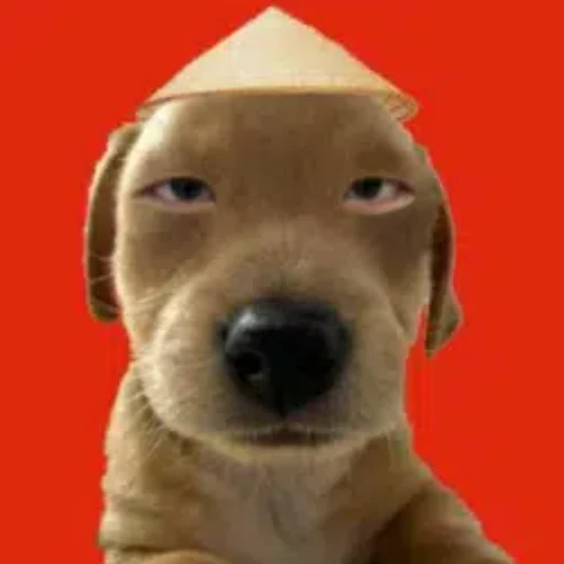比瑞 logo