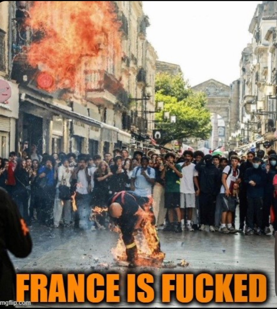 France Is Fucked logo