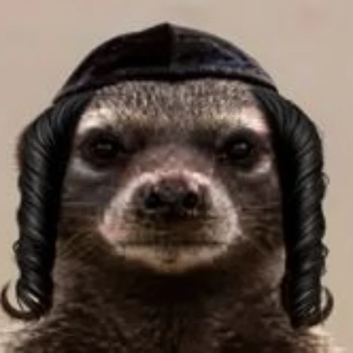 The Honeybadger logo