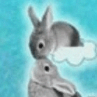 The Pumpfun Rabbits logo