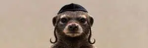 JewBadger logo