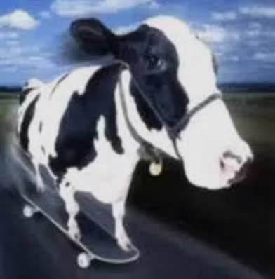 MOONERO logo