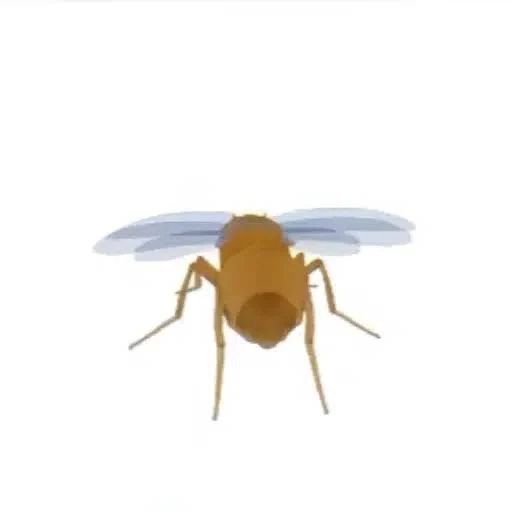 FRUITFLY logo