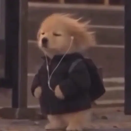Dog In Pain logo