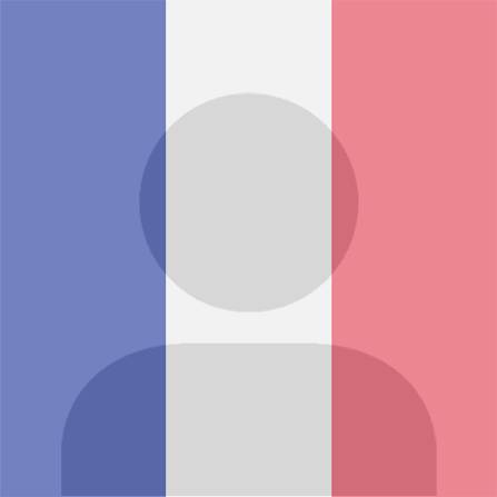 The French Flag logo
