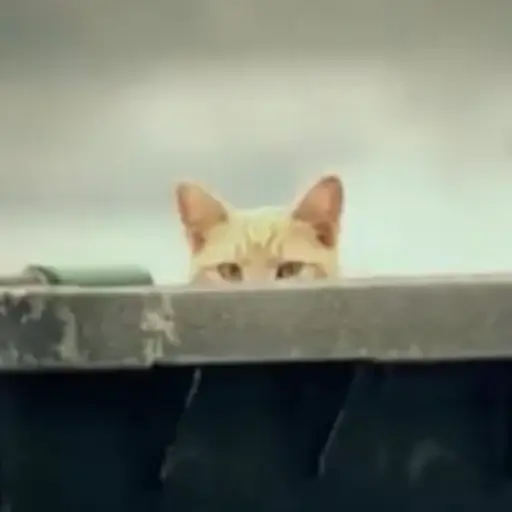 GMECAT logo