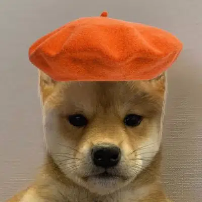 DogWifBeret logo