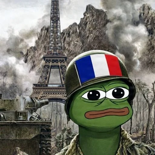 French Riot Memes logo