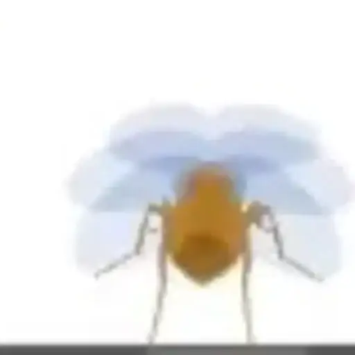 Odyssey Fly logo