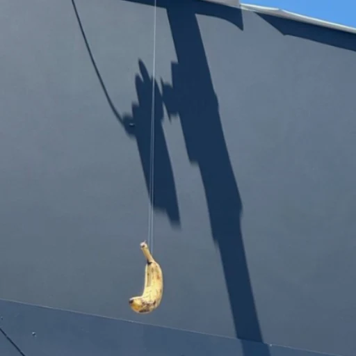 floating tesla banana logo