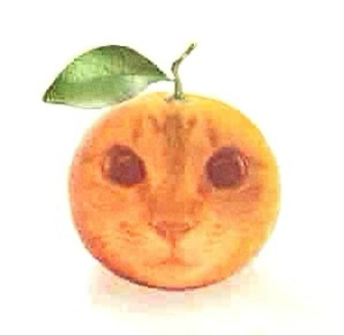 Corange logo