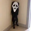 Ghost Dog logo