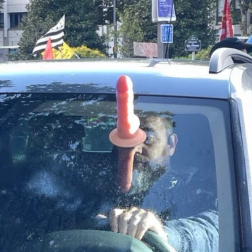 The Resistance Dildo logo