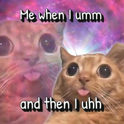 uhhcat logo
