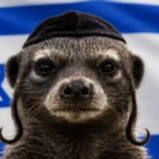 The Honeybadger logo
