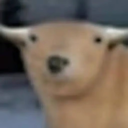 bul logo