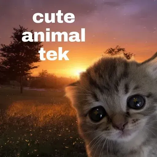 cute animal tek logo