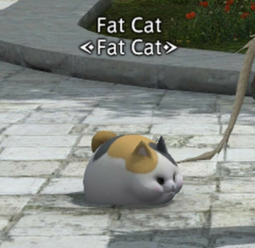 Fat Cat logo