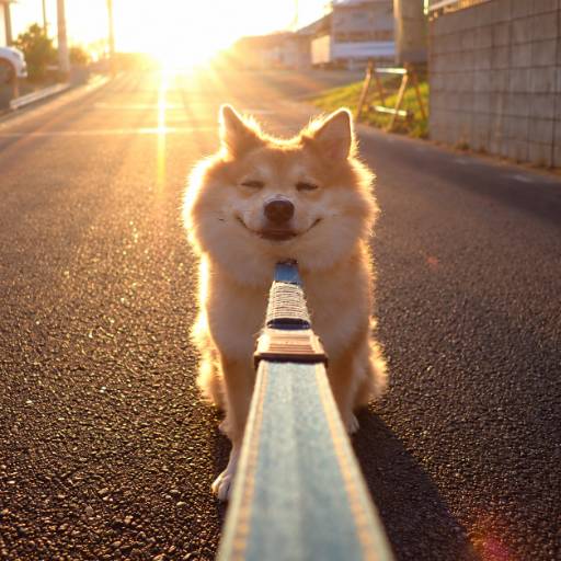 Dog Wif Sword logo