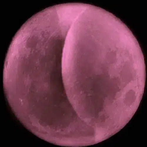 Always Sunny in Space logo