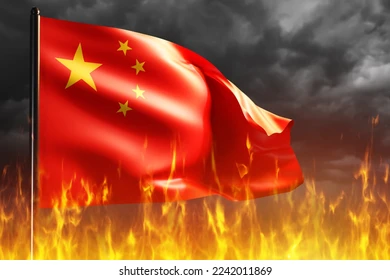 BURN CHINA! logo