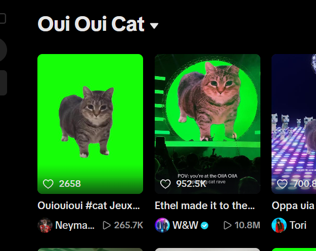 Oui Cat logo