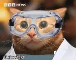 Scientist Cat logo