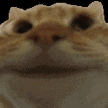 Trustcat logo