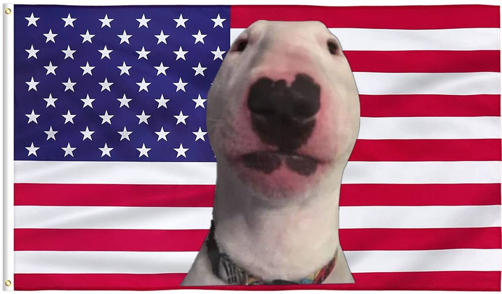 American Walter logo