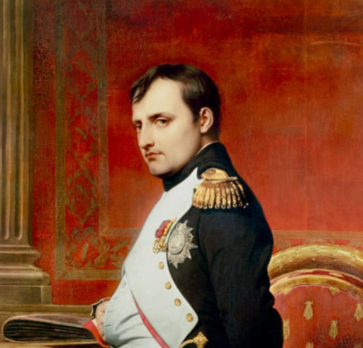 NAPOLEON logo