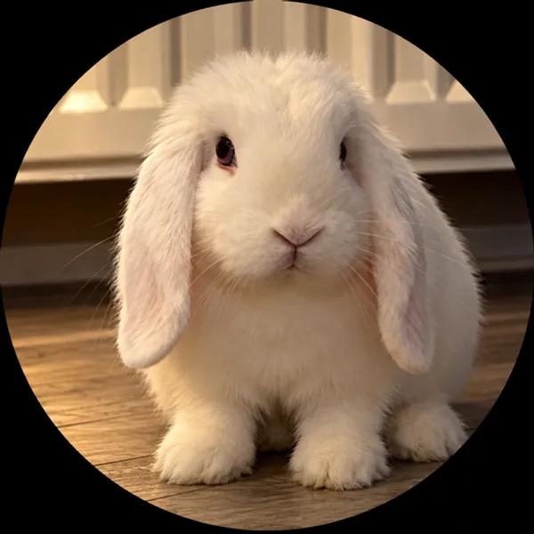 Cute Bunny logo