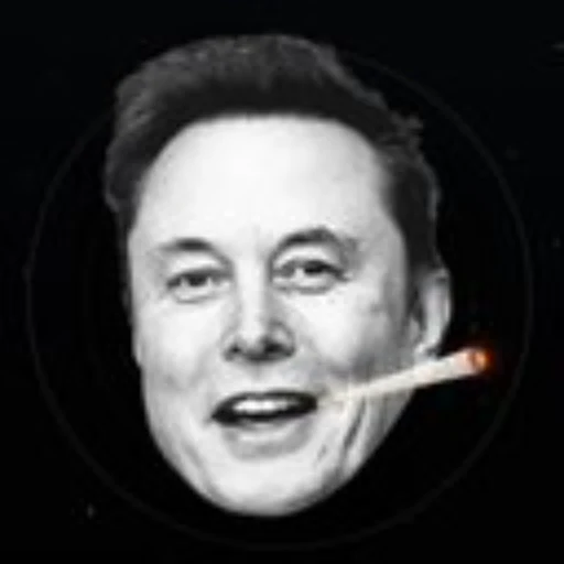 Elon Intelligence logo