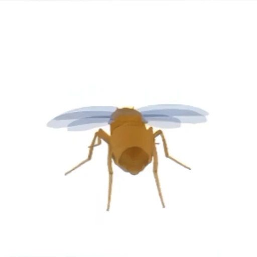 FRUITFLY logo