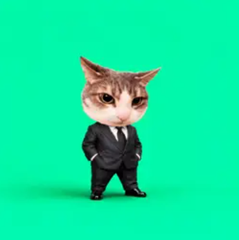 Ref Cat logo