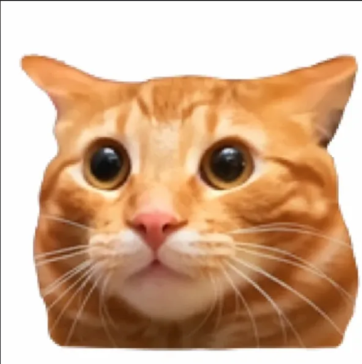 Hi Cat logo