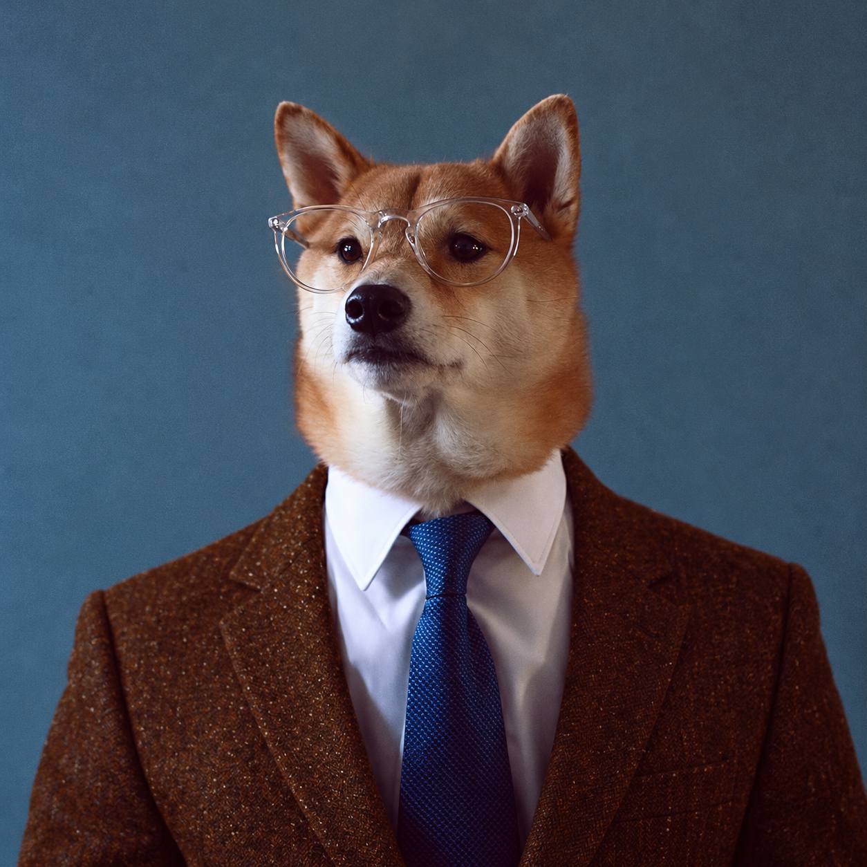 Professor Inu logo