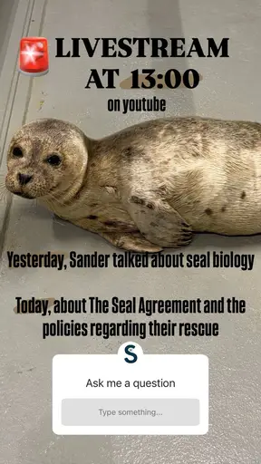 Sander logo