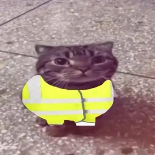 Cat in vest logo